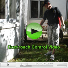 Cockroach Pest Control video