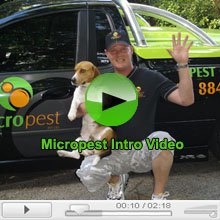 Micropest Sydney Introduction Video