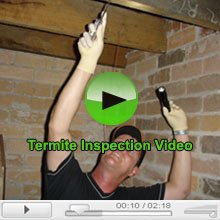 Termite inspection Video