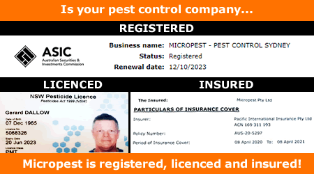 Micropest - Pest Control Wahroonga. Registered Licenced Insured