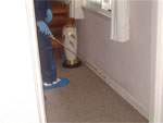 Spraying skirting with Cislin for best pest control results